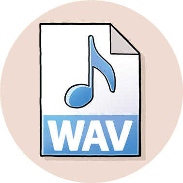WAV Icon